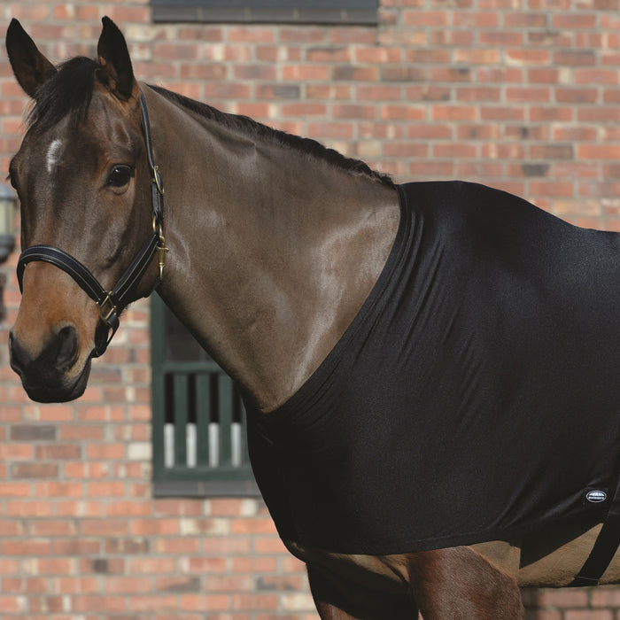 Horse wearing a black elastic shoulder guard in front of a brick barn 