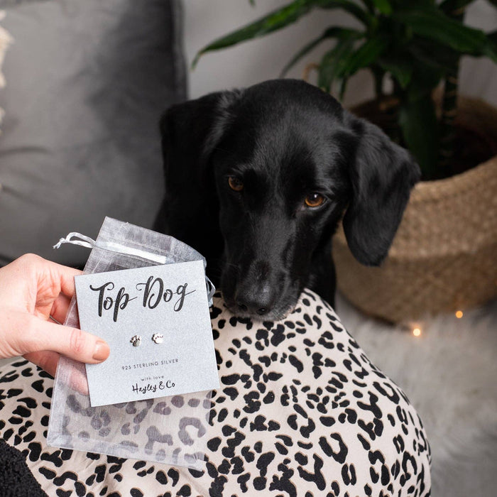 Hayley & Co - Top Dog Silver Paw Print Earrings