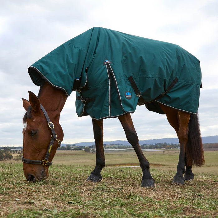 Horse wearing a forest green rug grazing in an open field