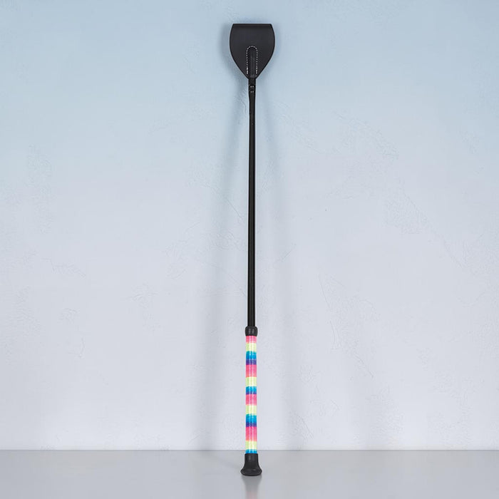 A long black riding crop or equestrian staff with a colorful striped grip section, standing upright against a light gray textured wall.