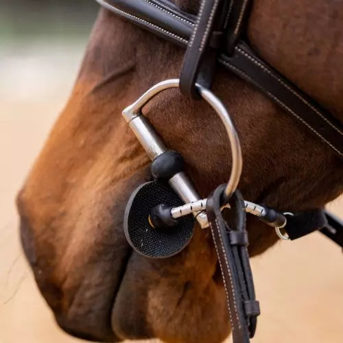 Busy Buddy Horse Calmer