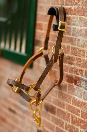 Breyer  ® Halter and Lead Set