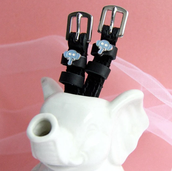 Dreamers and Schemers ManeJane Spur Straps 17"