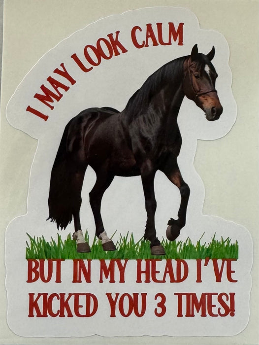 BSD Sticker - I May Look Calm...