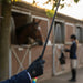 A close-up of a hand wearing a black glove and navy equestrian jacket holding a black riding crop with a colorful striped handle, set against a blurred background of an equestrian stable and a horse.