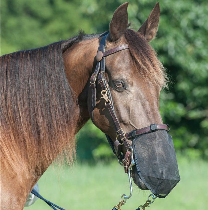 Cashel ® Quiet Ride Nose Net
