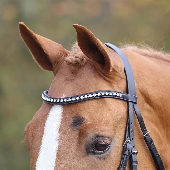 Velociti GARA Large Diamante Browband