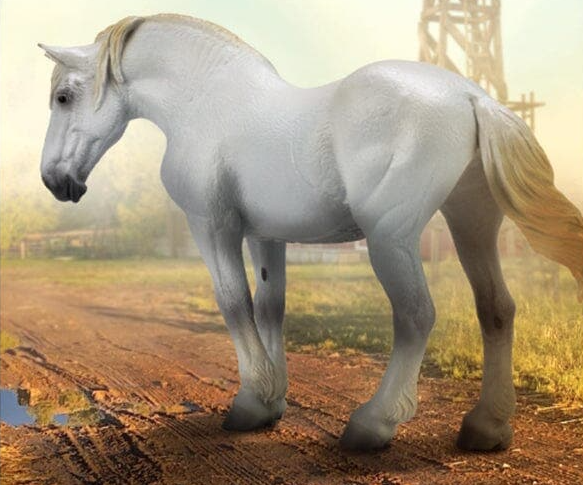 Percheron Mare - Dapple Grey