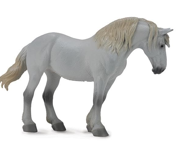 Percheron Mare - Dapple Grey