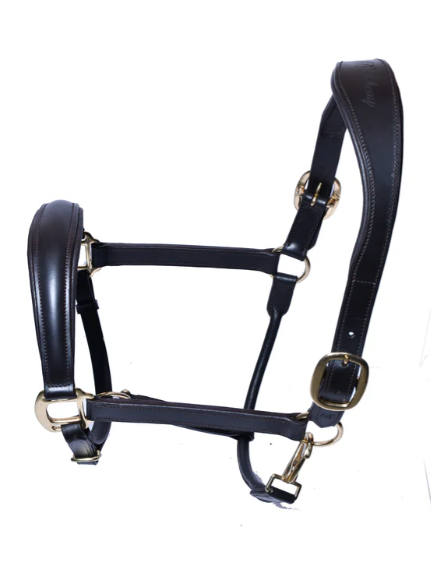 Padded Leather Halter — The Hitching Post Tack Shop