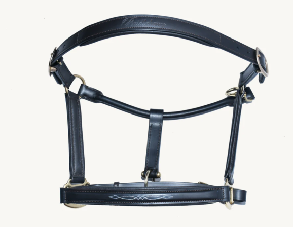 #3 Full Grain Hunter Style Leather Halter w/Top Stitched Design