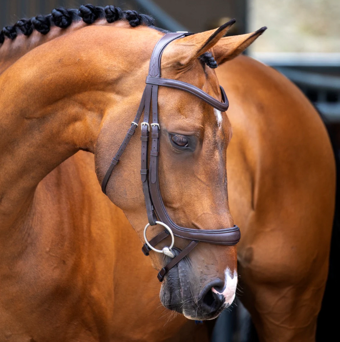 Lusso Ergonomic Curved Flash Bridle