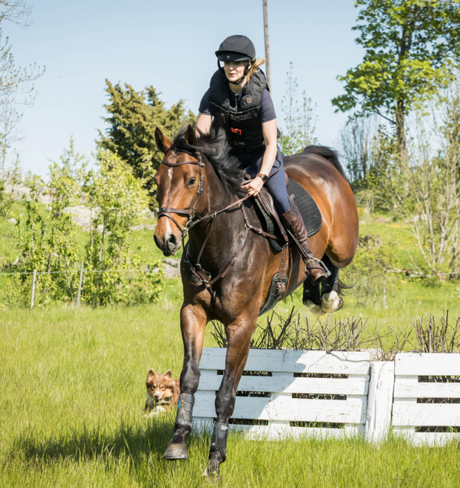 Lynx Eventing Field Competition Helmet