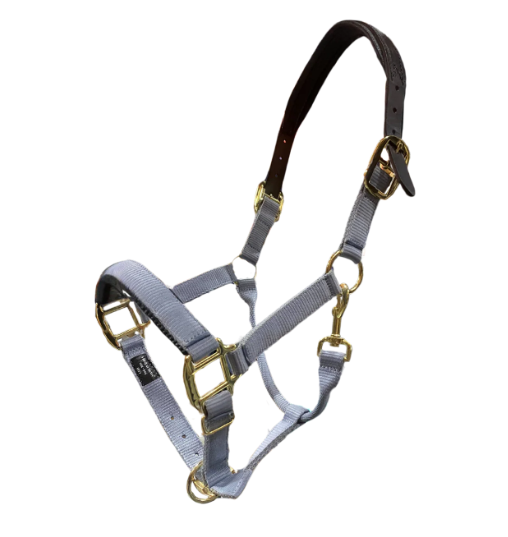 Premium Padded Breakaway Halter