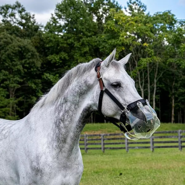 Thinline Flexible Filly Slow Feed Grazing Muzzle Cob/Horse