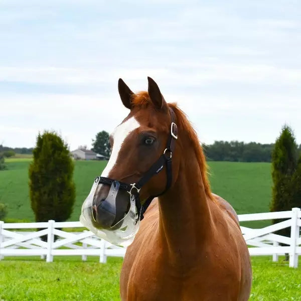 Thinline Flexible Filly Slow Feed Grazing Muzzle Cob/Horse