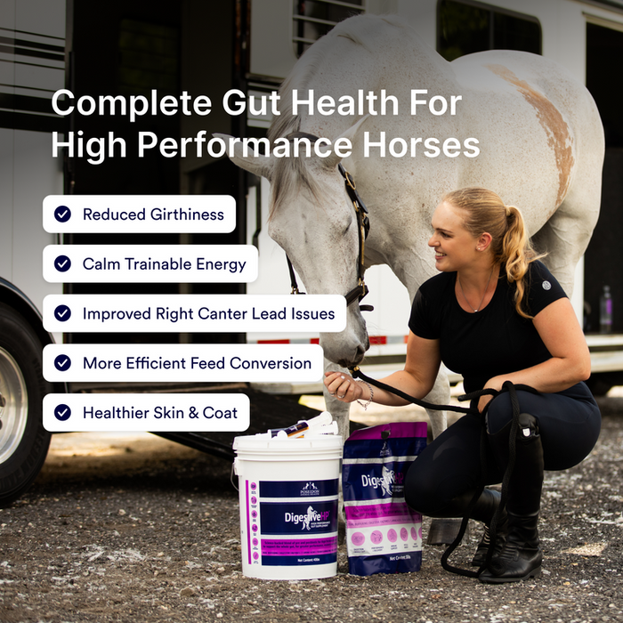 Poseidon Animal Health- Digestive HP