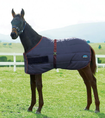 Weatherbeeta 420D Foal Standard Neck Medium