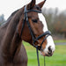 Brown horse with a white blaze wearing a bridle in an outdoor setting