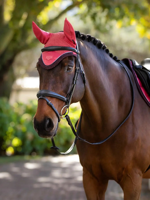LeMieux Loire Fly Hood