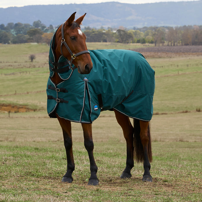 Horse wearing a forest green rug in an open field with trees and mountains in the background