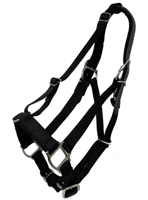 GG Equine- Premium Breakaway Halter - Black- WarmBlood