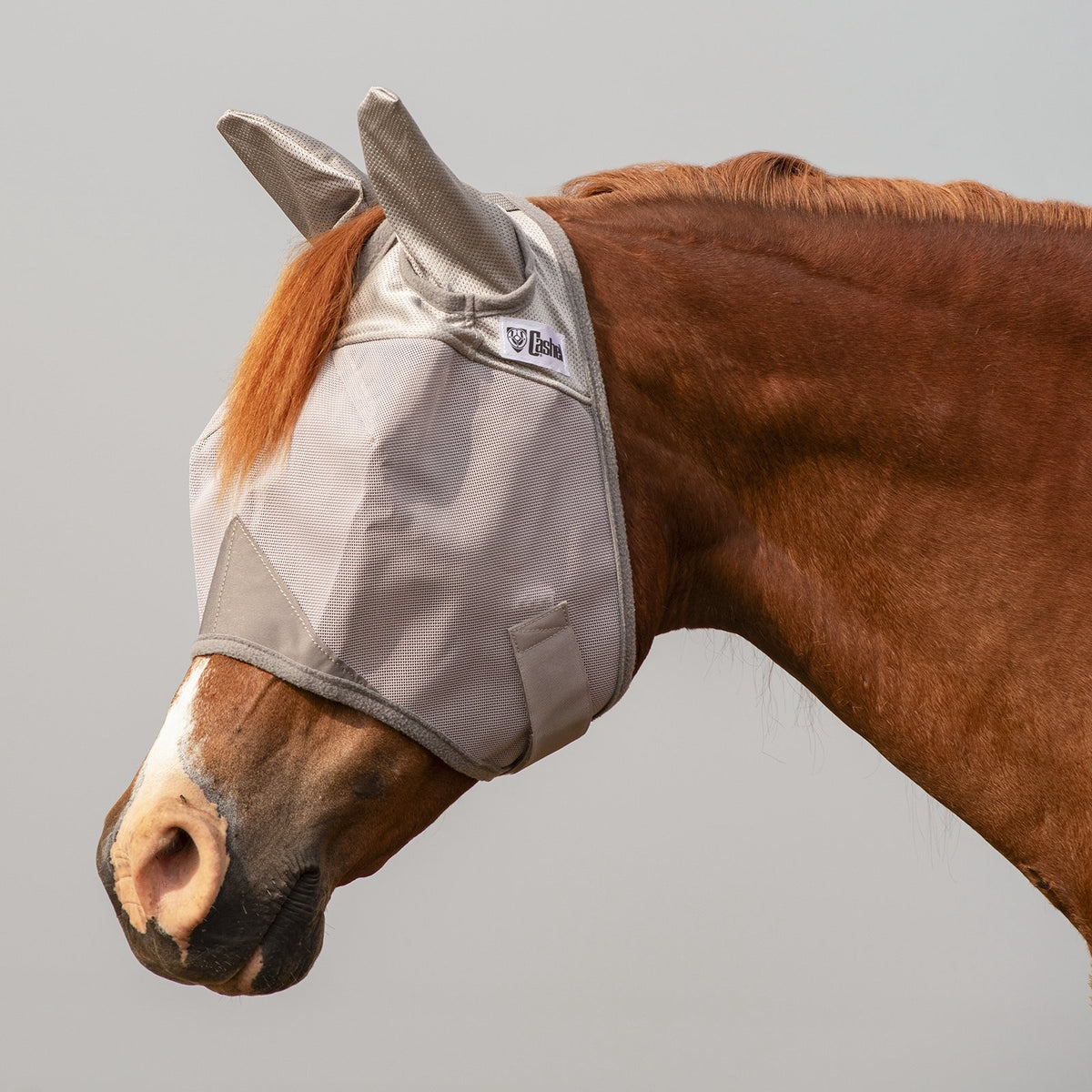 New! Cashel Crusader Fly Mask -Mule – Standard with Ears main image 0
