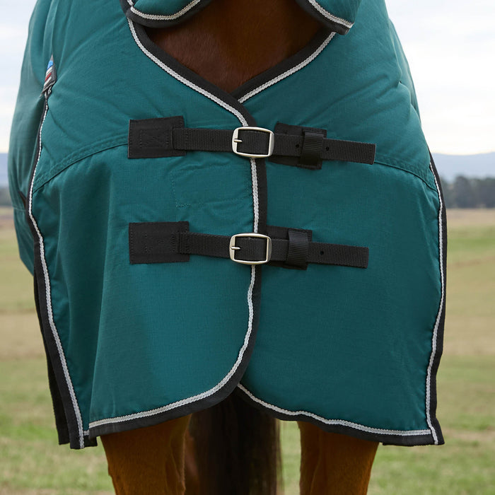 Forest Green horse blanket with black straps and  silver buckles on a horse in a field.