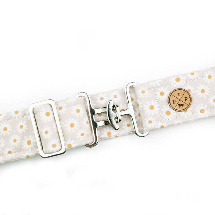 The Posh Pony 1.5" Fabric Belt - Ladies'
