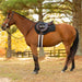 A brown horse standing outdoors in a wooded area, wearing a dark saddle with a black and white pad and a bridle.