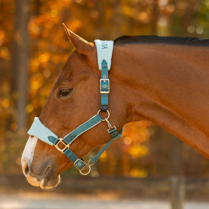 Equinavia Saga Fleece Padded Breakaway Halter
