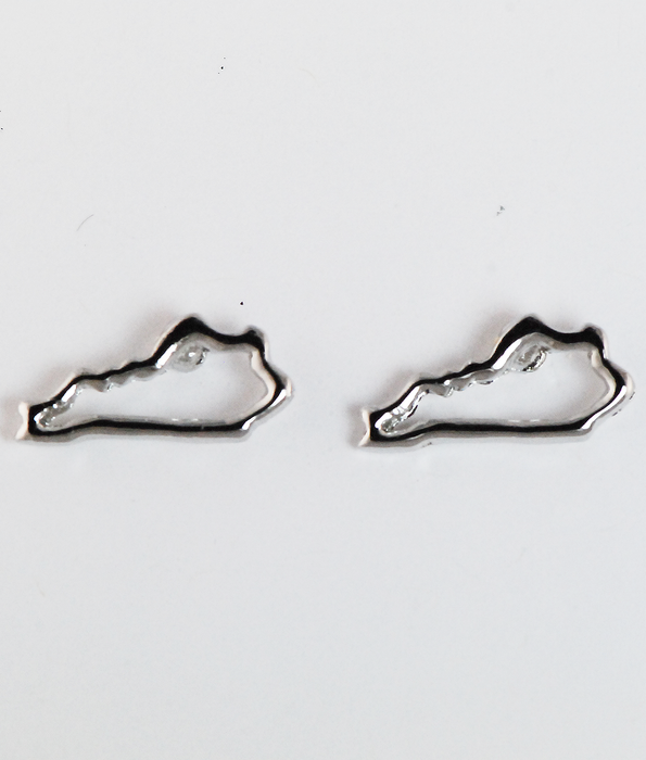 FT Earrings - KY State
