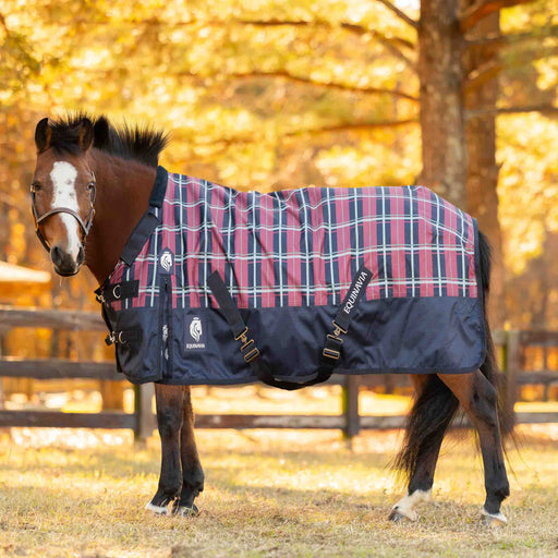 A Pony wearing a navy and burgundy plaid turnout blanket in an outdoor setting with wooden fences and trees.