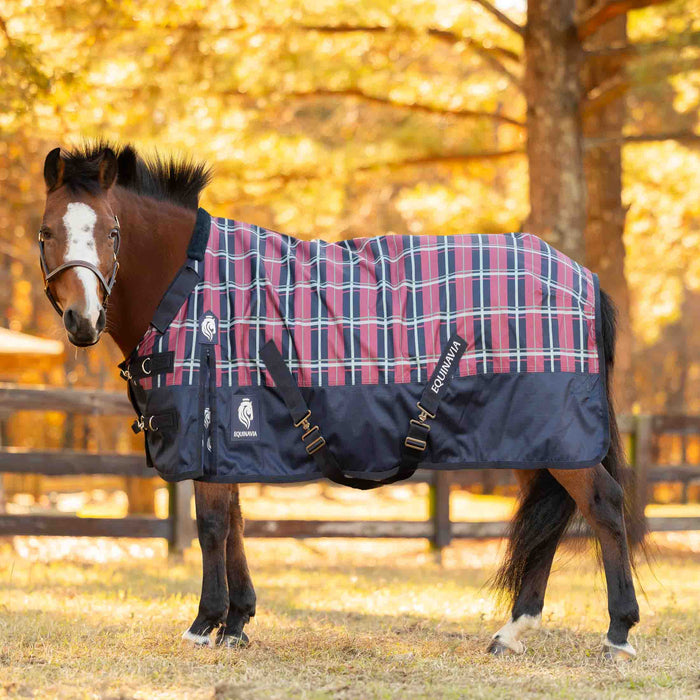 A Pony wearing a navy and burgundy plaid turnout blanket in an outdoor setting with wooden fences and trees.