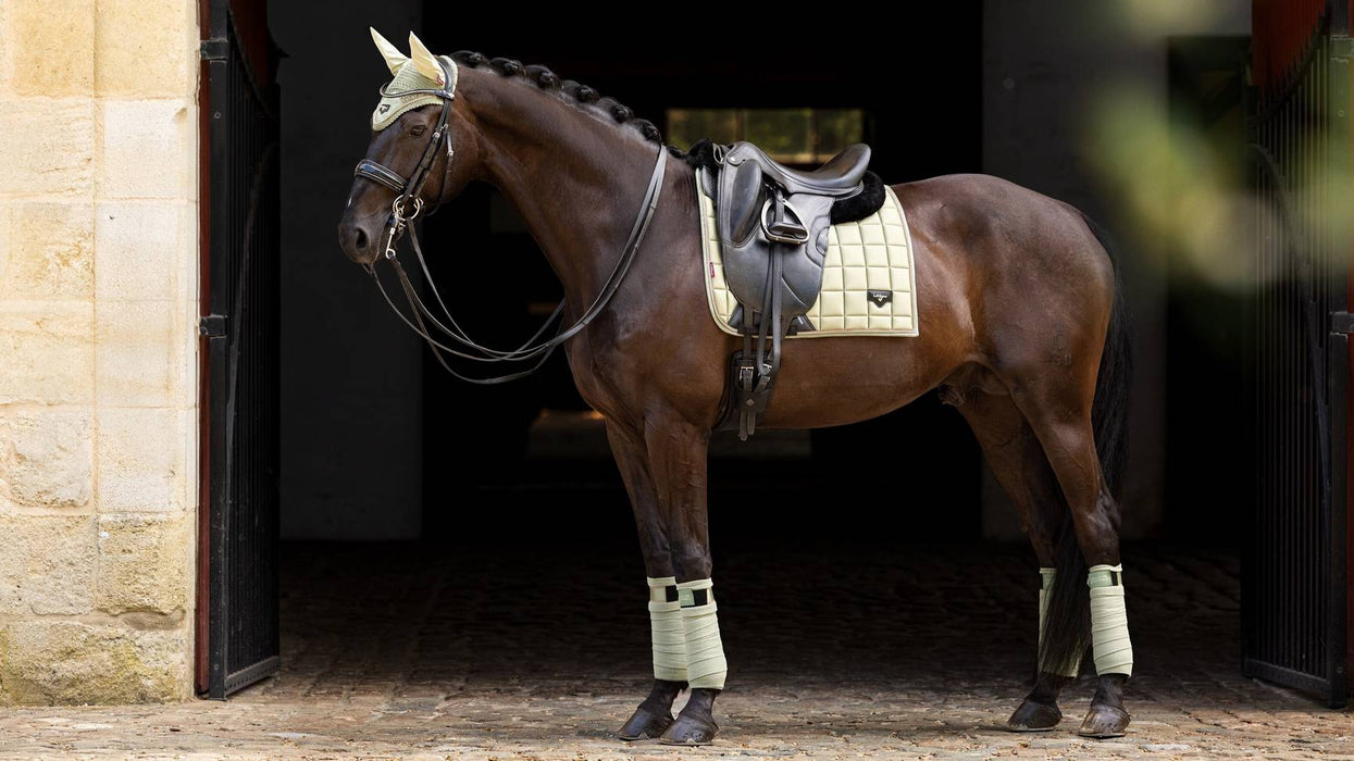 LeMieux Loire Classic Dressage Square