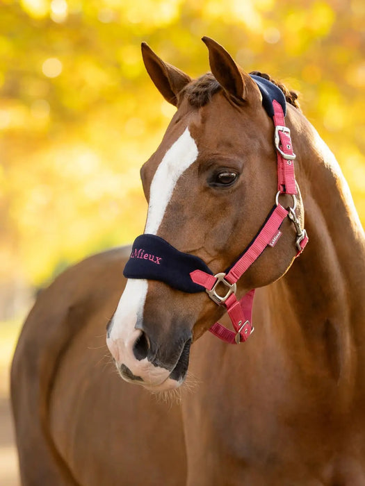 Le Mieux Vogue Headcollar & Leadrope Set