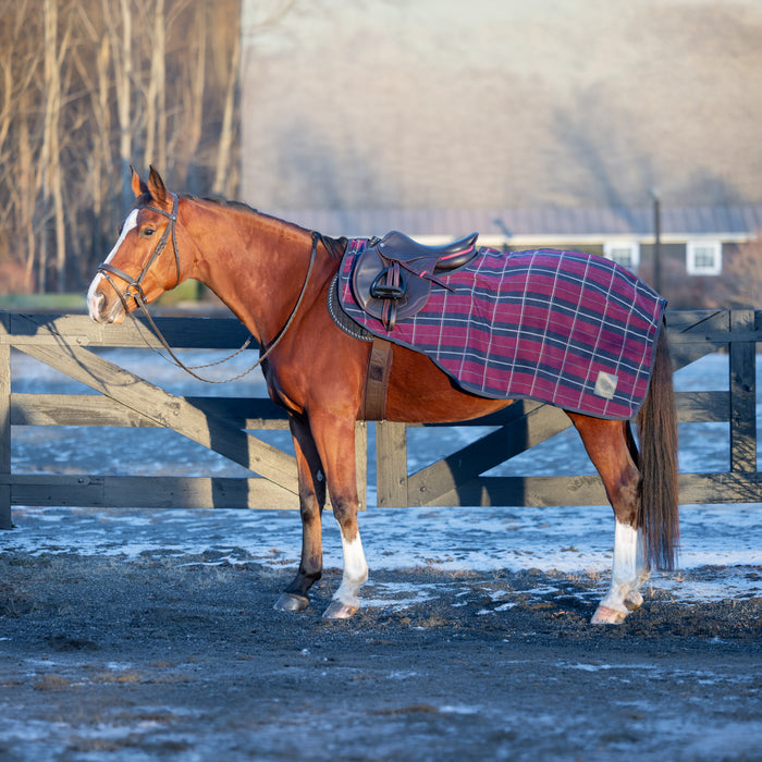 A chestnut horse standing in an outdoor paddock wearing a red and blue tartan plaid horse blanket with a dark leather saddle. The background shows a wooden fence, bare trees, and a distant building.