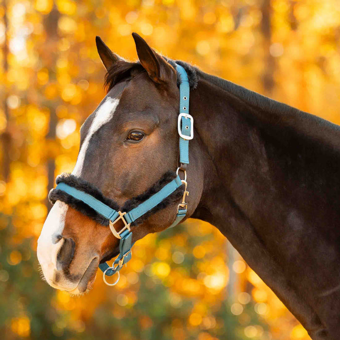 Equinavia Valkyrie Ultra Fleece Breakaway Halter