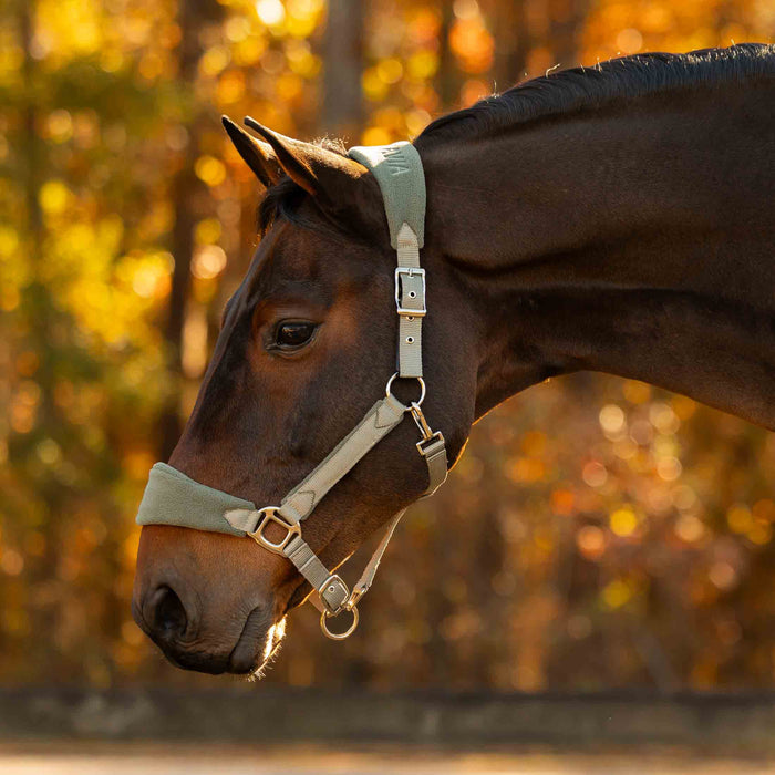 Equinavia Saga Fleece Padded Breakaway Halter
