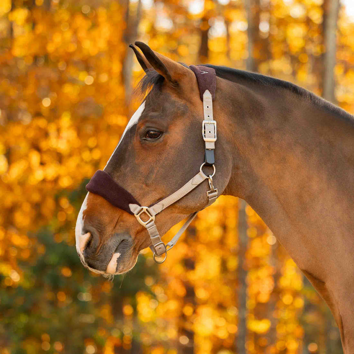 Equinavia Saga Fleece Padded Breakaway Halter