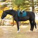 A dark horse standing in a pasture with a dressage saddle sitting on a blur cotton quilted saddle pad. With pine trees in the background.