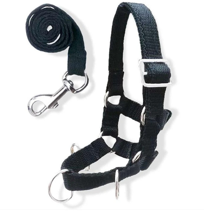 Crafty Pony Lunge Cavesson