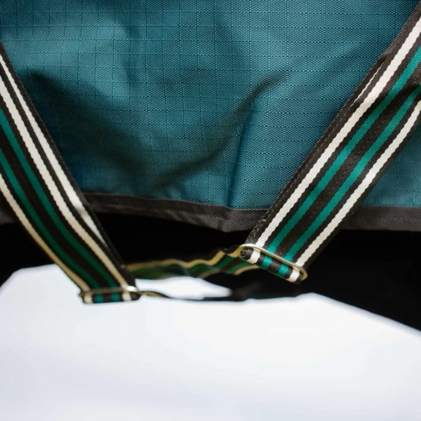Equinavia Arktis Regular Neck 100g Turnout Blanket