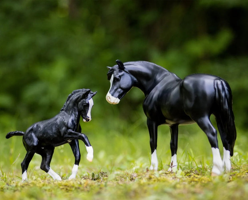 Breyer™ Nistar Blazing Kansas LOM & GTF Blazing Ethel