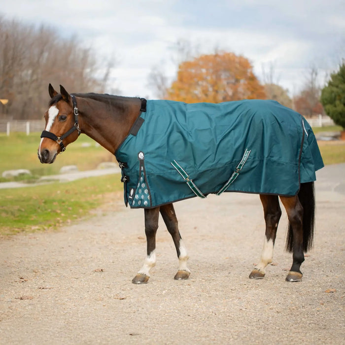 Equinavia Arktis Regular Neck 0g Turnout Sheet