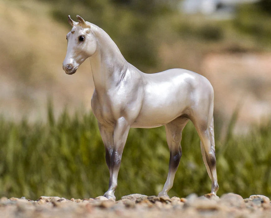 Freedom Series Pearly Grey Trakehner