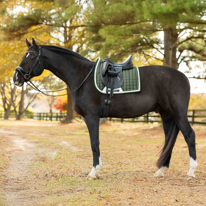 Equinavia Copenhagen Dressage Saddle Pad