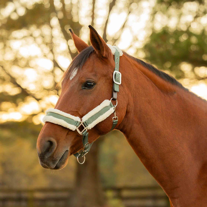 Equinavia Valkyrie Ultra Fleece Breakaway Halter
