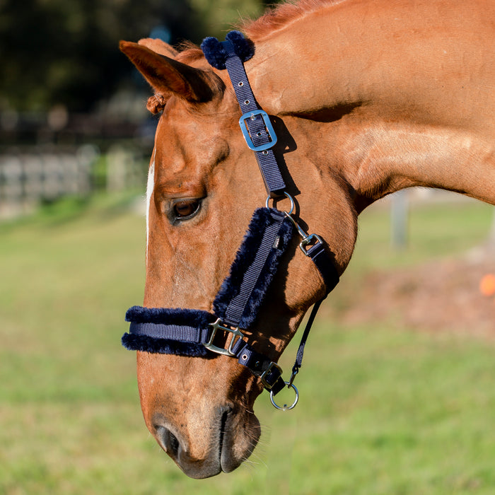 Equinavia Valkyrie Ultra Fleece Breakaway Halter