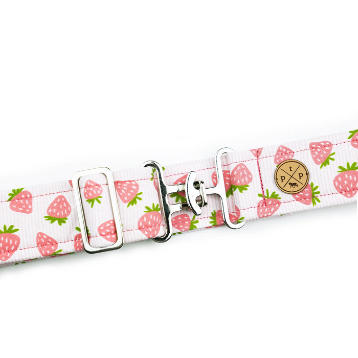 The Posh Pony 1.5" Fabric Belt - Ladies'